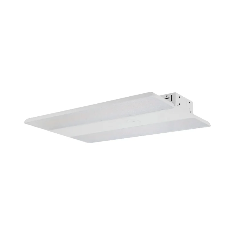 beeslighting22645658