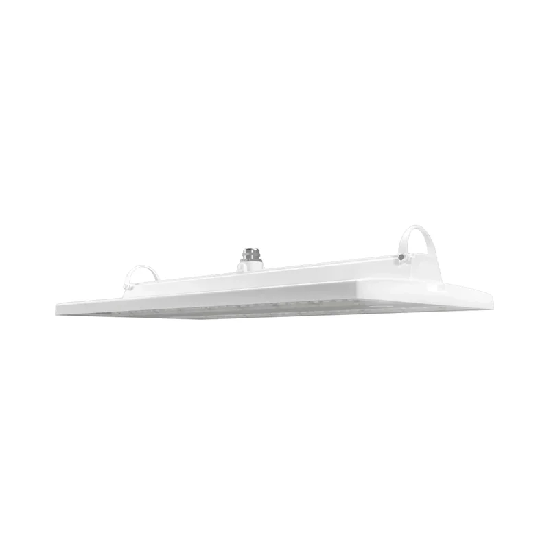 beeslighting22645994