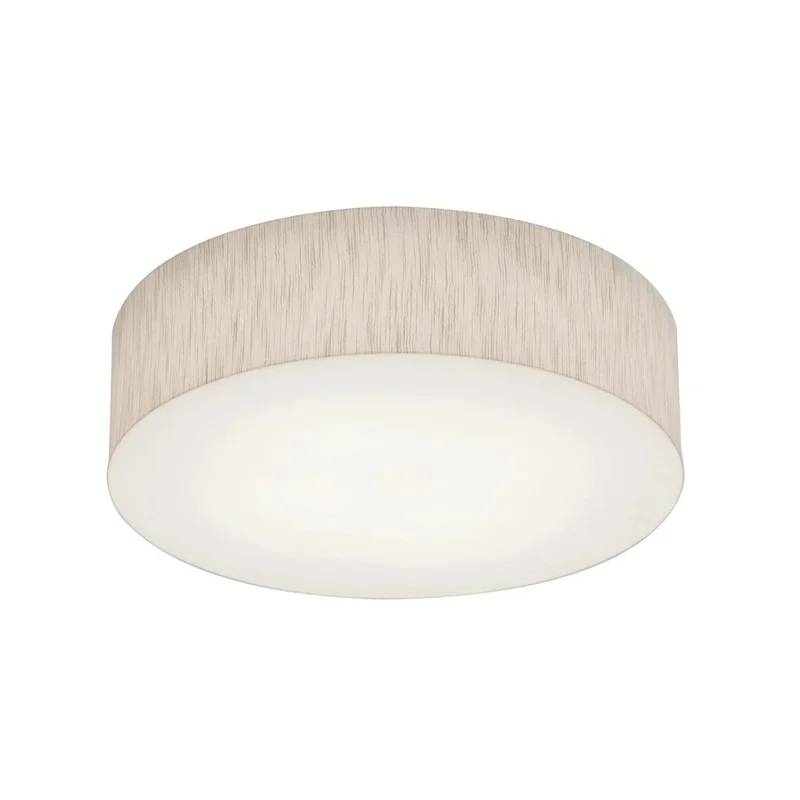 beeslighting22656260