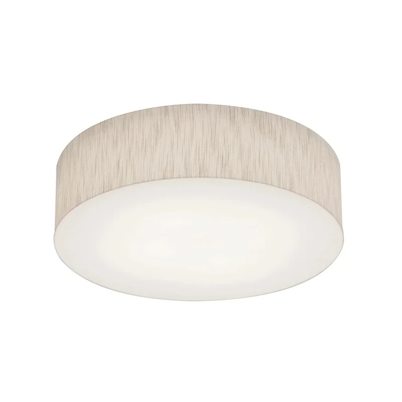 beeslighting22656554