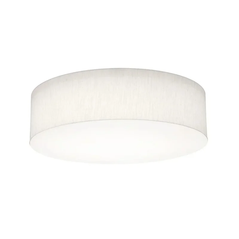 beeslighting22657162