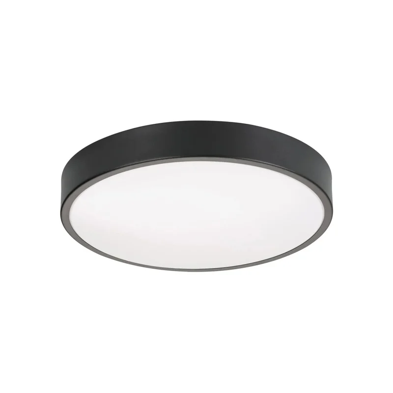 beeslighting22657849