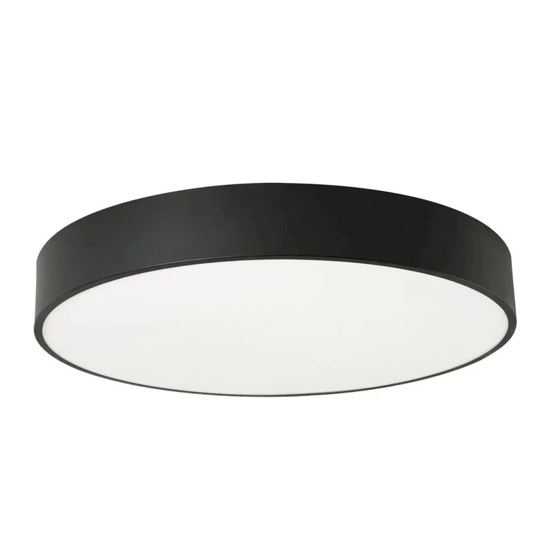 beeslighting22658401
