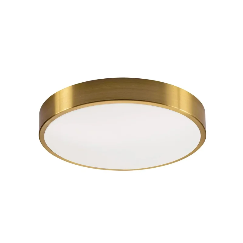 beeslighting22659755