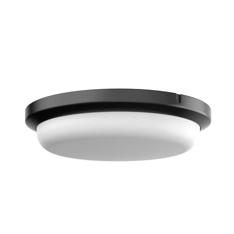 beeslighting22660431
