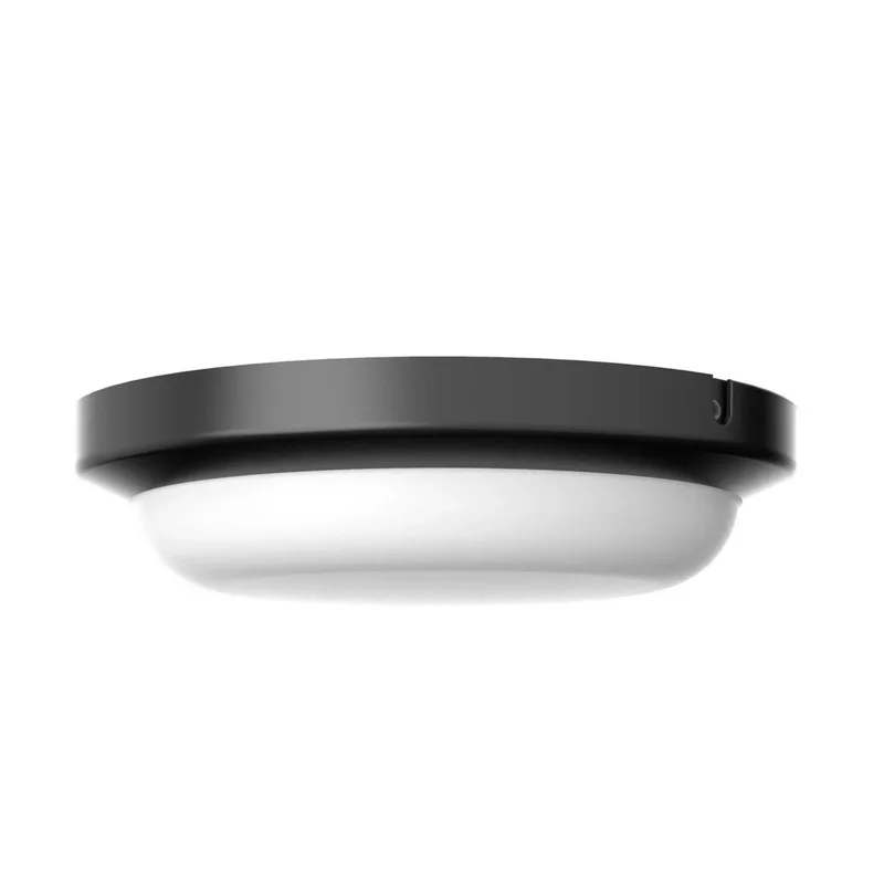 beeslighting22660437