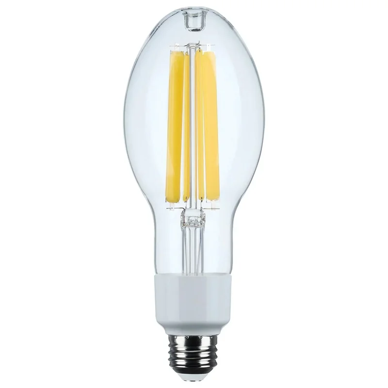 beeslighting22664254