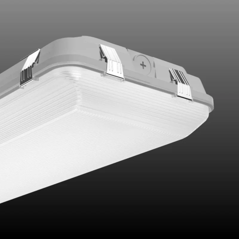beeslighting22666591