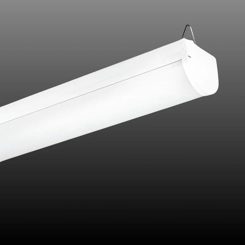 beeslighting32510721
