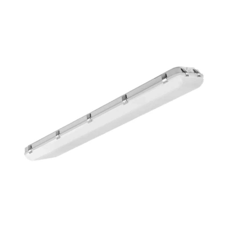 beeslighting32510895