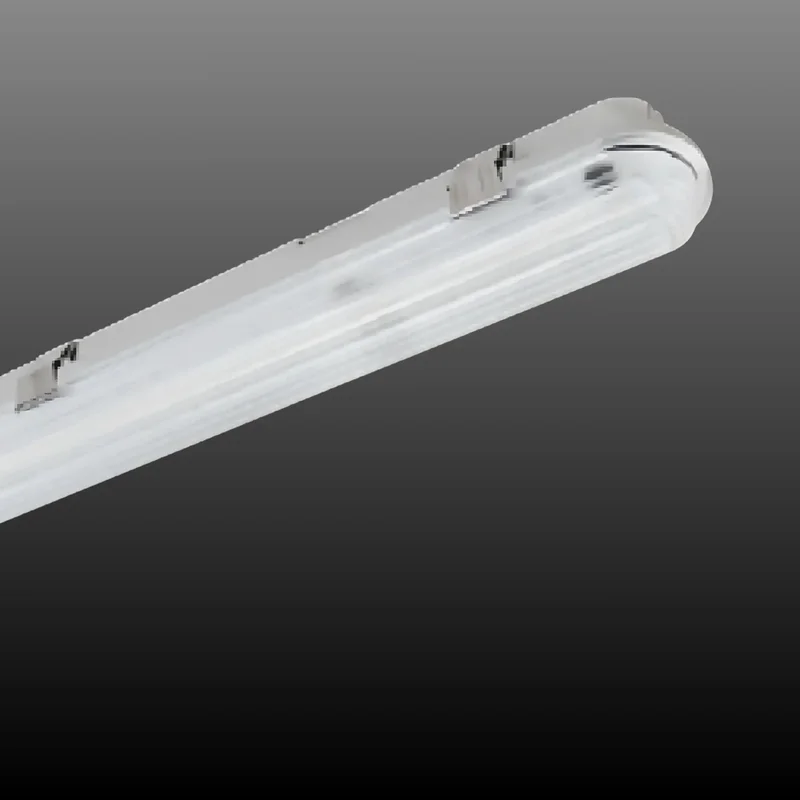 beeslighting32511073