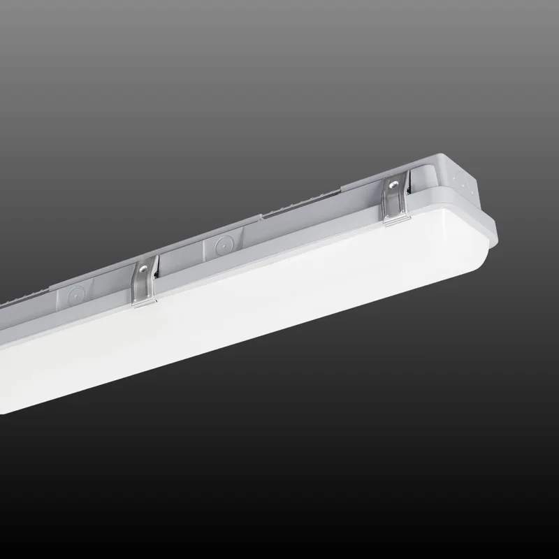 beeslighting32511257