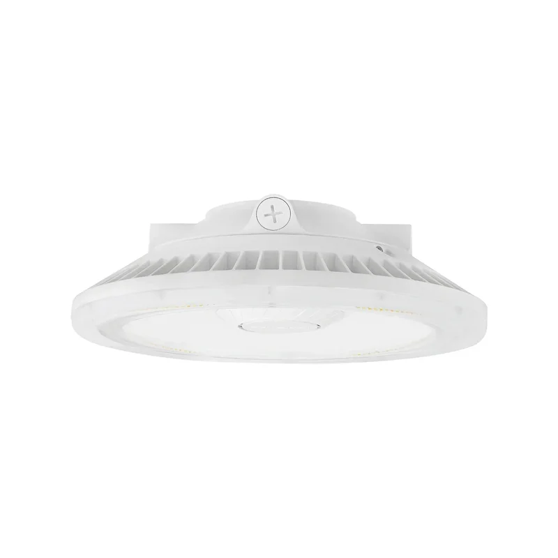 beeslighting32512558