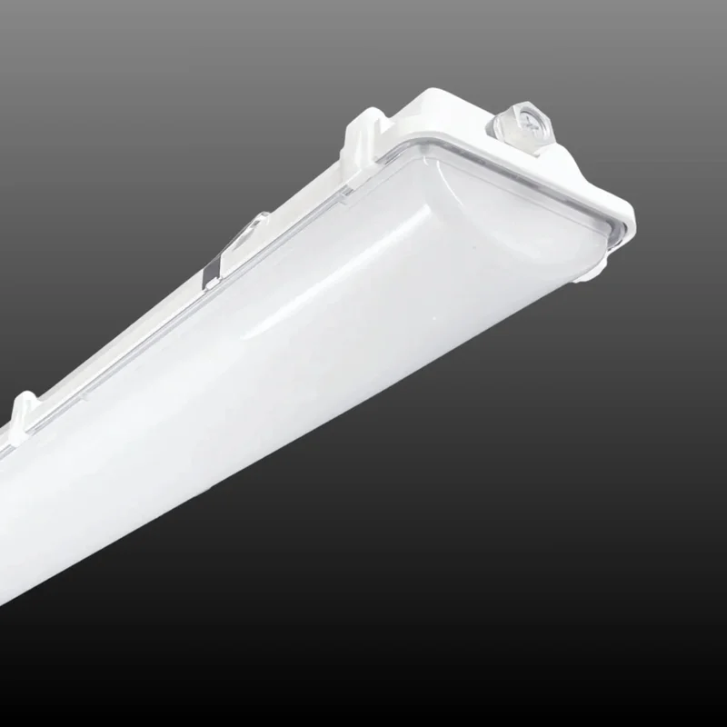 beeslighting32644153