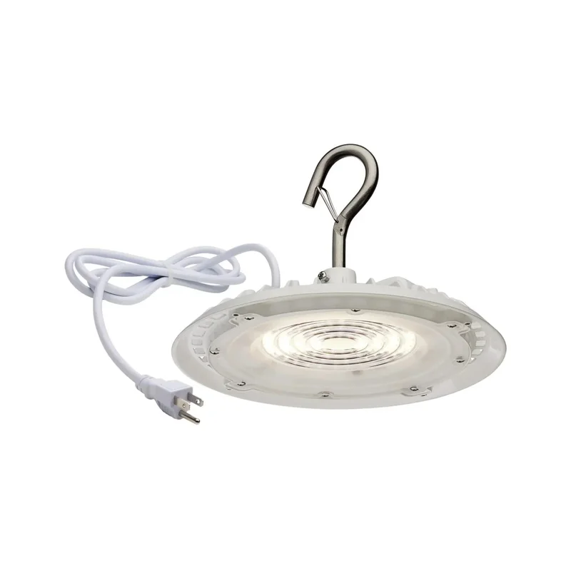 beeslighting32647261