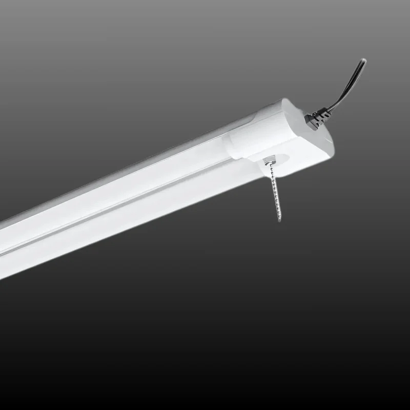 beeslighting32647781