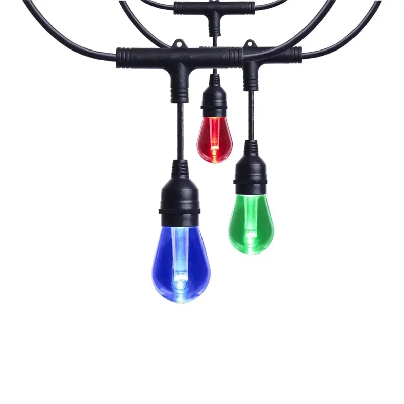 beeslighting32647982