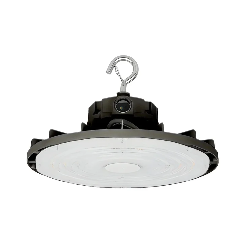 beeslighting32653607