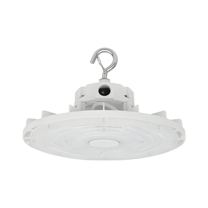 beeslighting32653647