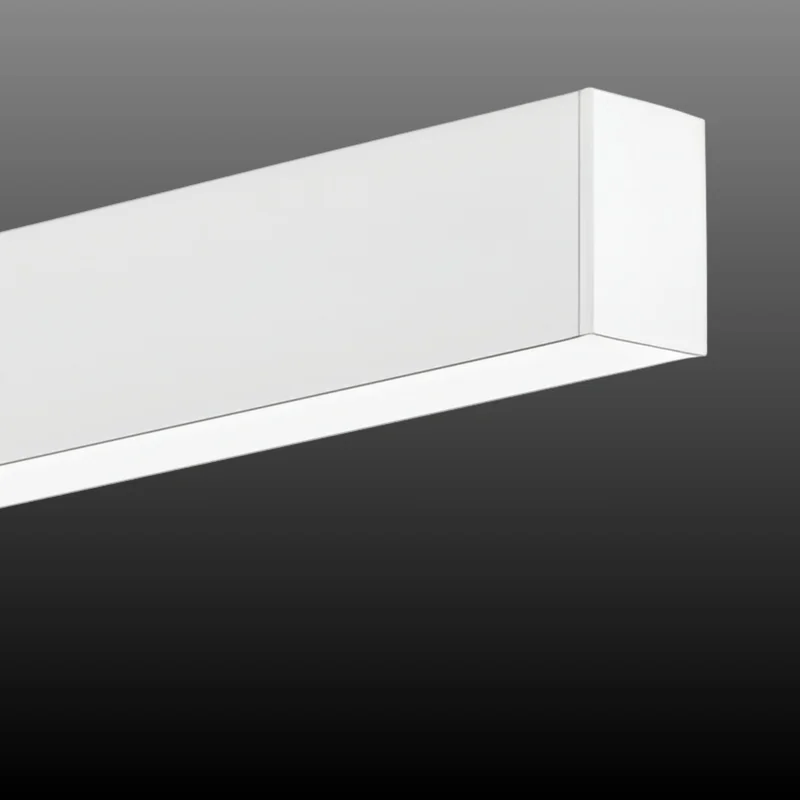 beeslighting32656031