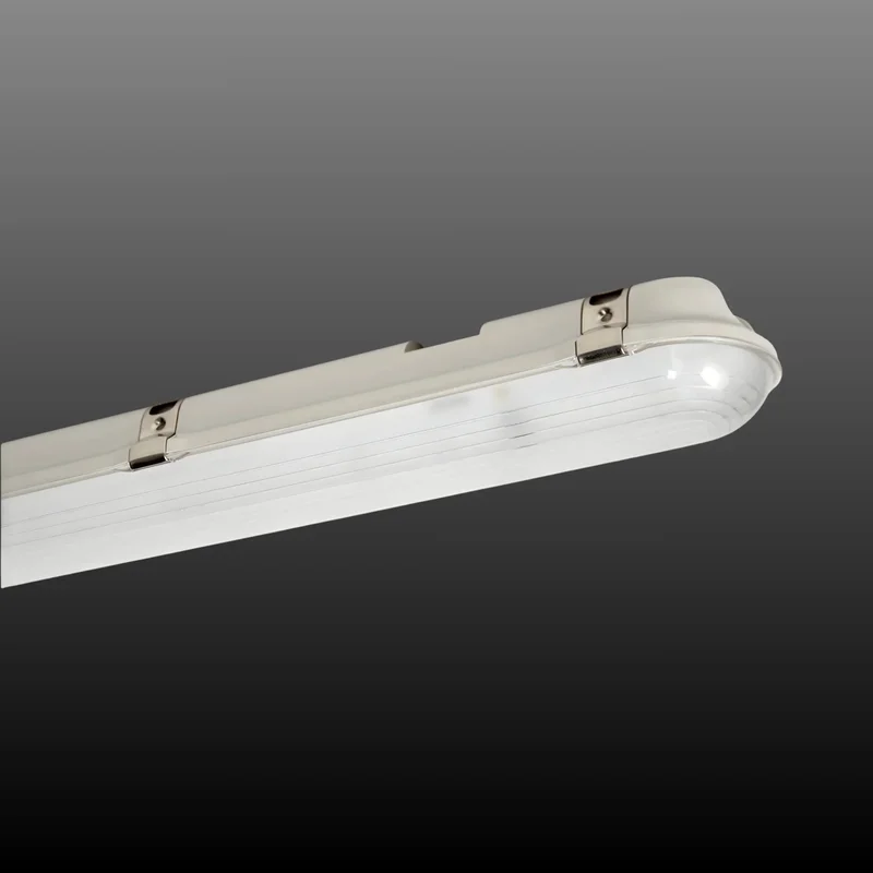 beeslighting32656666