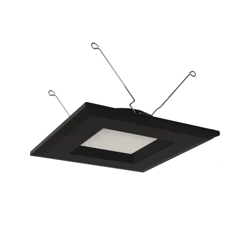 beeslighting32657592