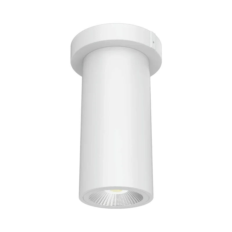 beeslighting32658843