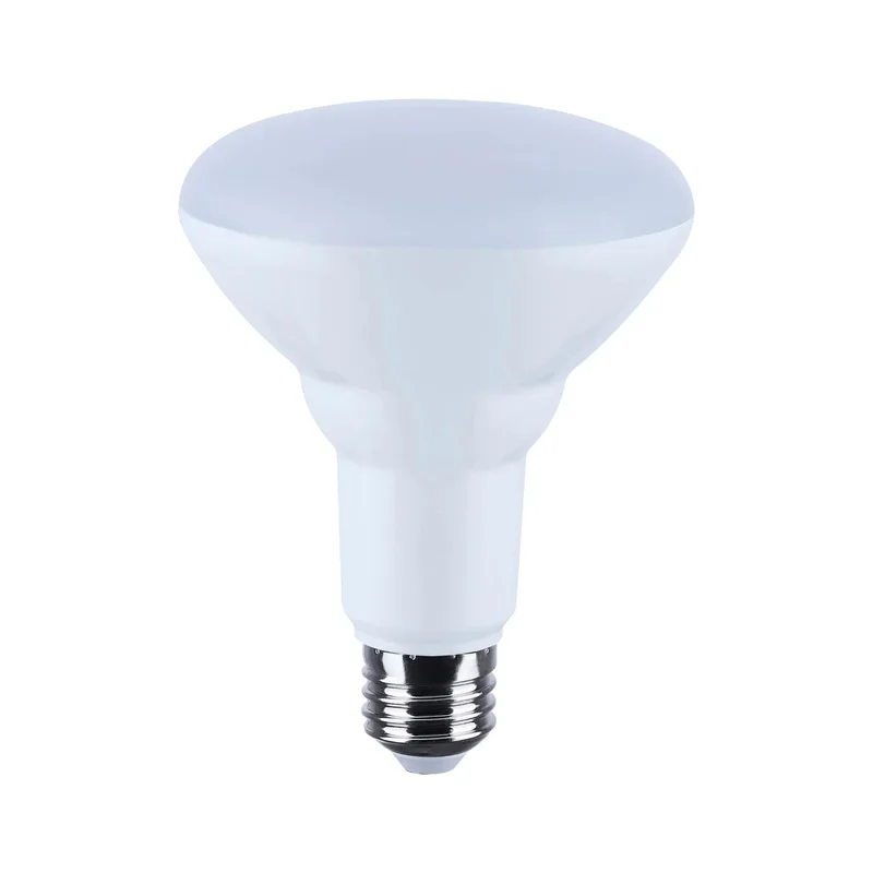 beeslighting32659114