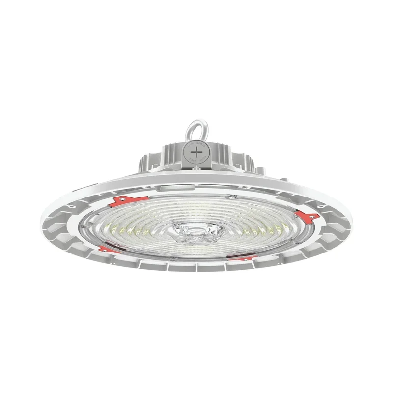 beeslighting32659192