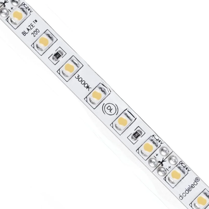 beeslighting32661316