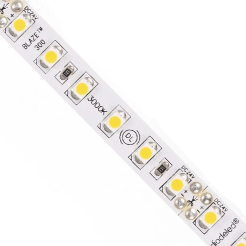 beeslighting32661394
