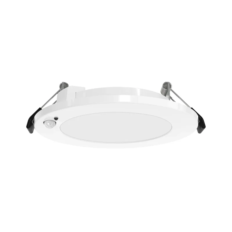 beeslighting32661593