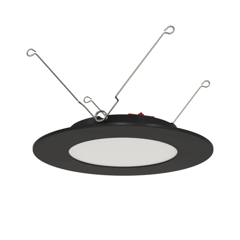 beeslighting32661683