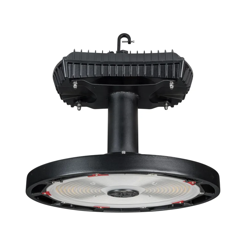beeslighting32661876