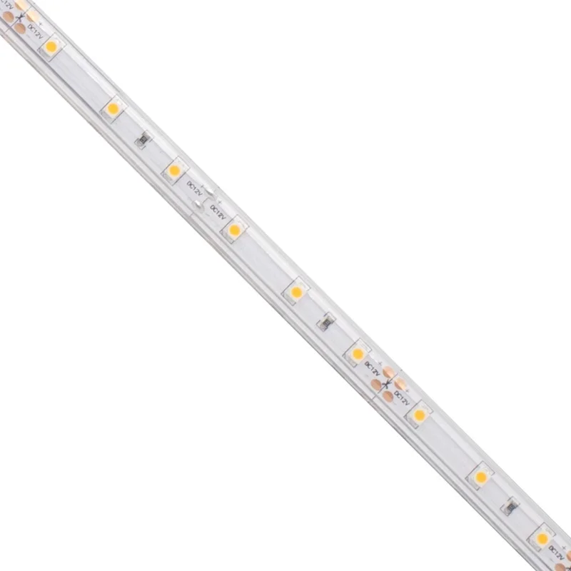 beeslighting32662045