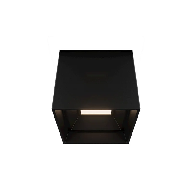 beeslighting32662436