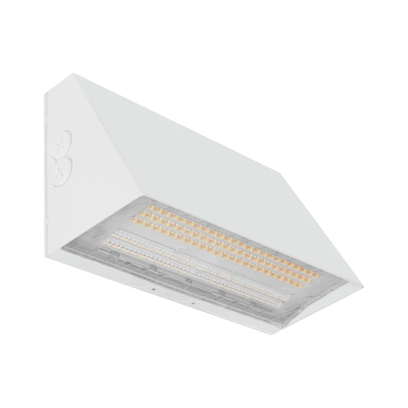 beeslighting32662734