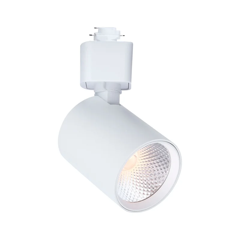 beeslighting32664604