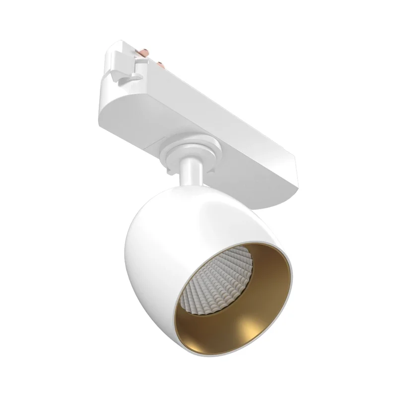 beeslighting32668362