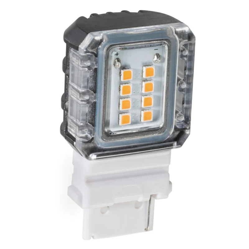 beeslighting32668948