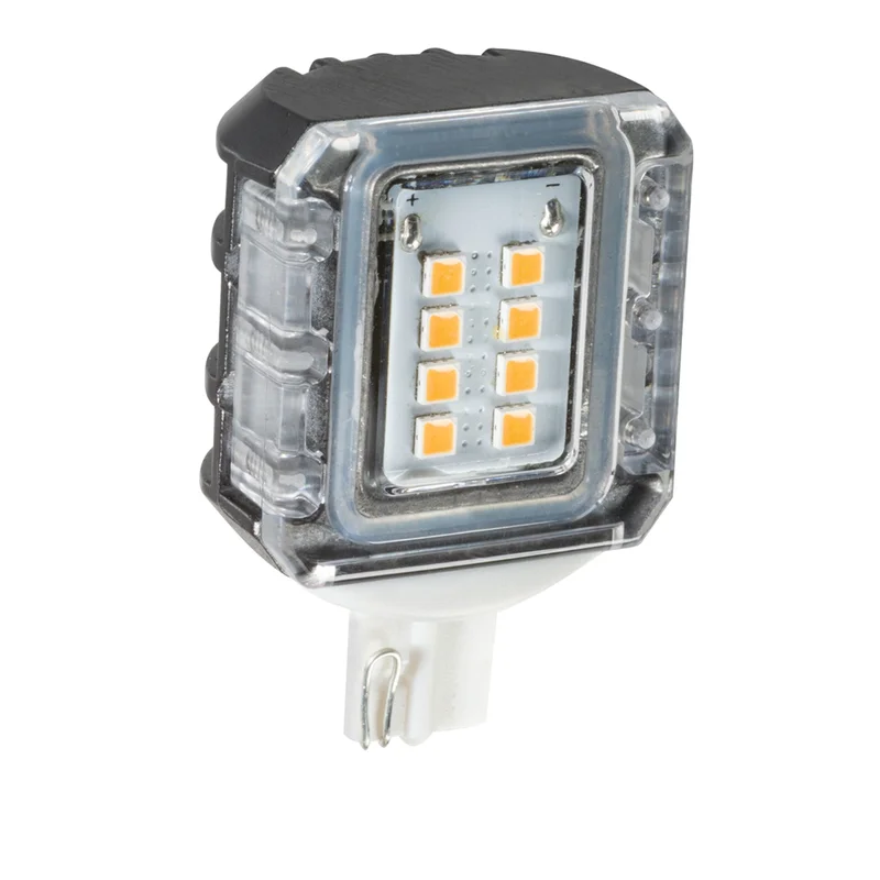 beeslighting32668961