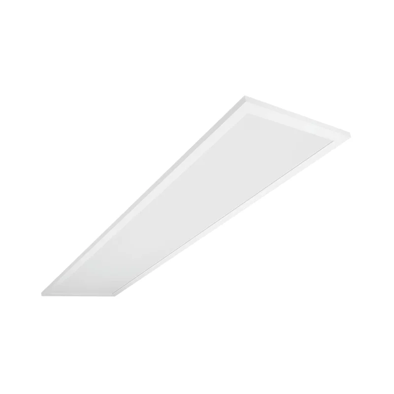 beeslighting32669505