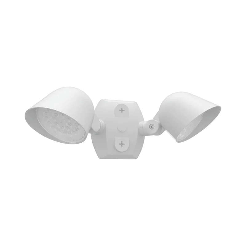 beeslighting32672234