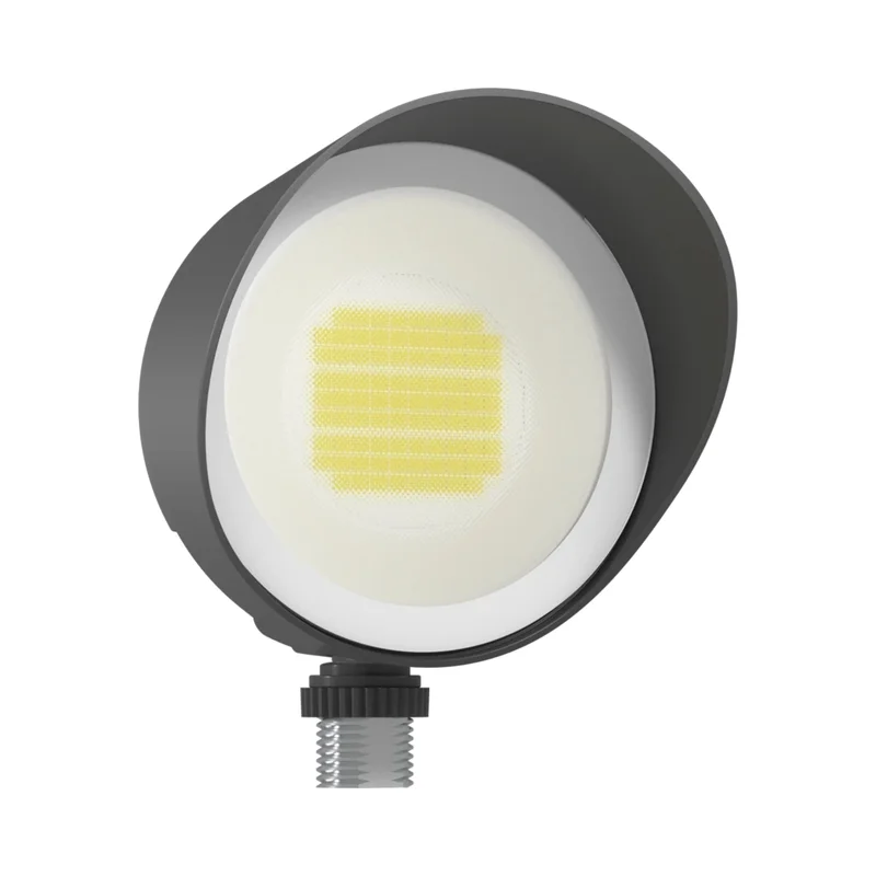 beeslighting32672261