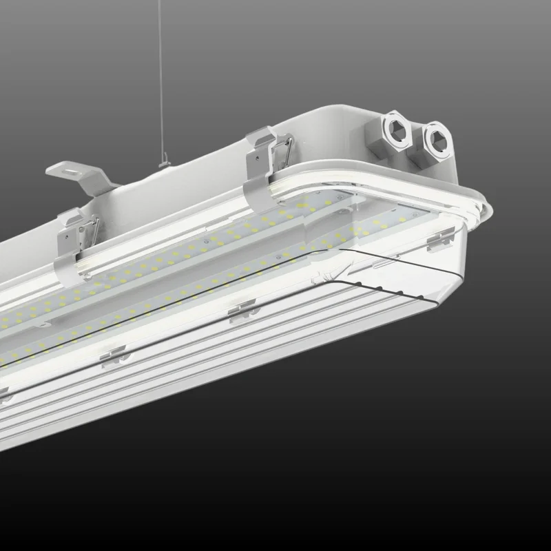 beeslighting32672735