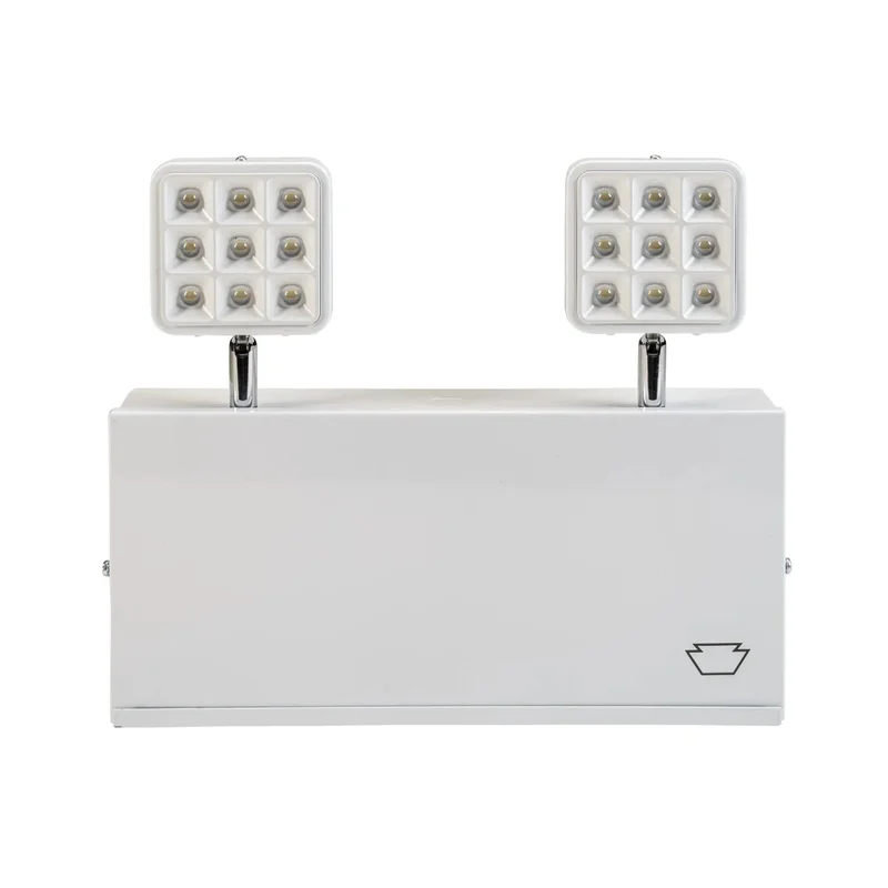 beeslighting32689916