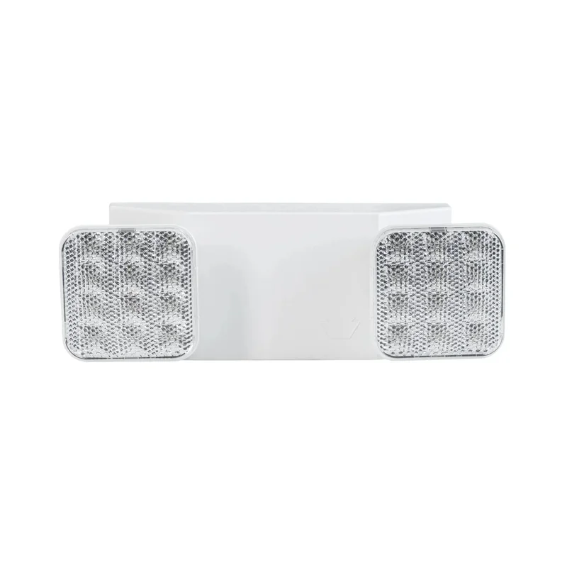 beeslighting32689927