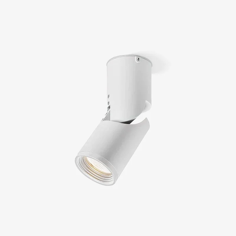 blowlighting2605885