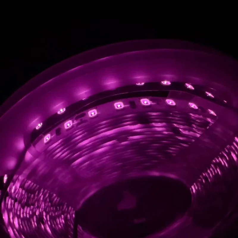 ledlightsworld2466661