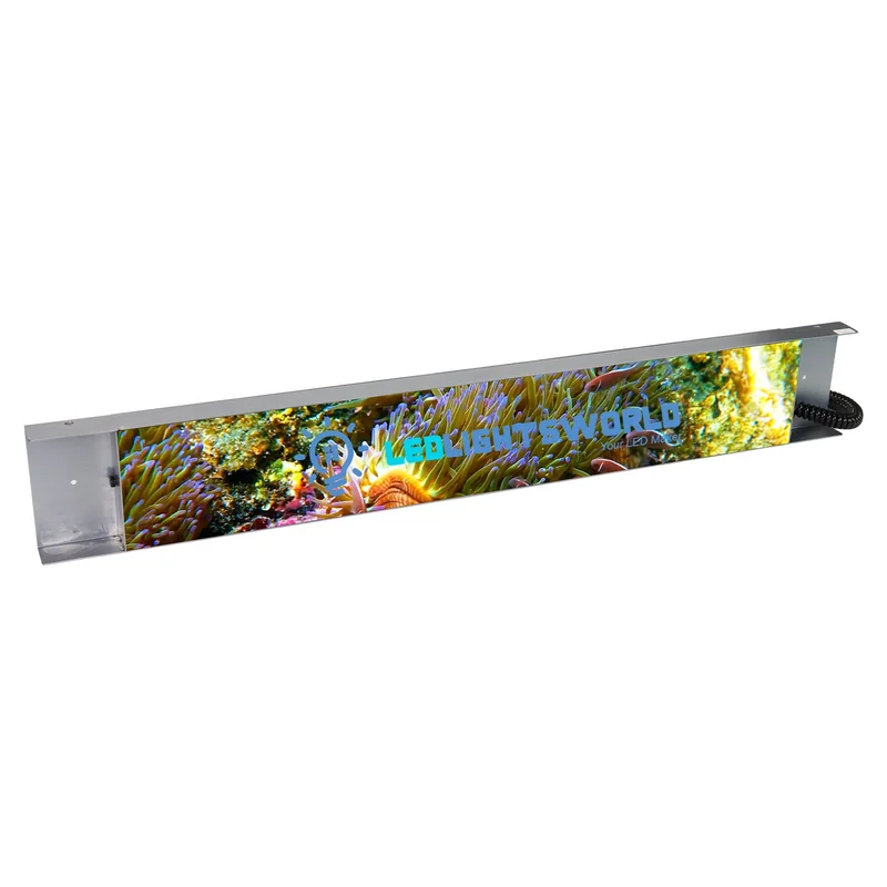 ledlightsworld2487891